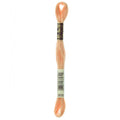DMC 3856 Embroidery Floss - Sewfinity.com
