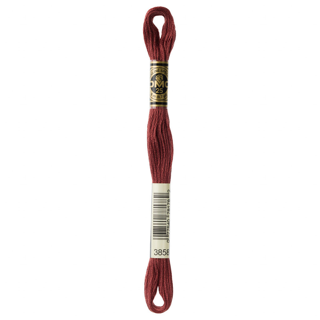 DMC 3858 Embroidery Floss - Sewfinity.com