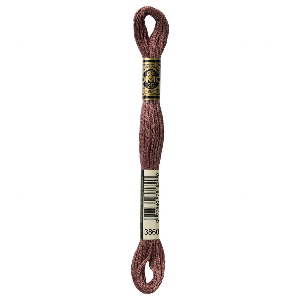 DMC 3860 Embroidery Floss - Sewfinity.com