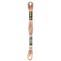 DMC 3864 Embroidery Floss - Sewfinity.com