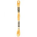 DMC 676 Embroidery Floss - Sewfinity.com