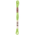 DMC 704 Embroidery Floss - Sewfinity.com