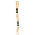 DMC 739 Embroidery Floss - Sewfinity.com