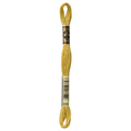 DMC 834 Embroidery Floss - Sewfinity.com