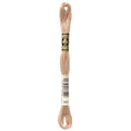 DMC 841 Embroidery Floss - Sewfinity.com
