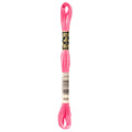 DMC 899 Embroidery Floss - Sewfinity.com