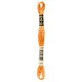 DMC 977 Embroidery Floss - Sewfinity.com