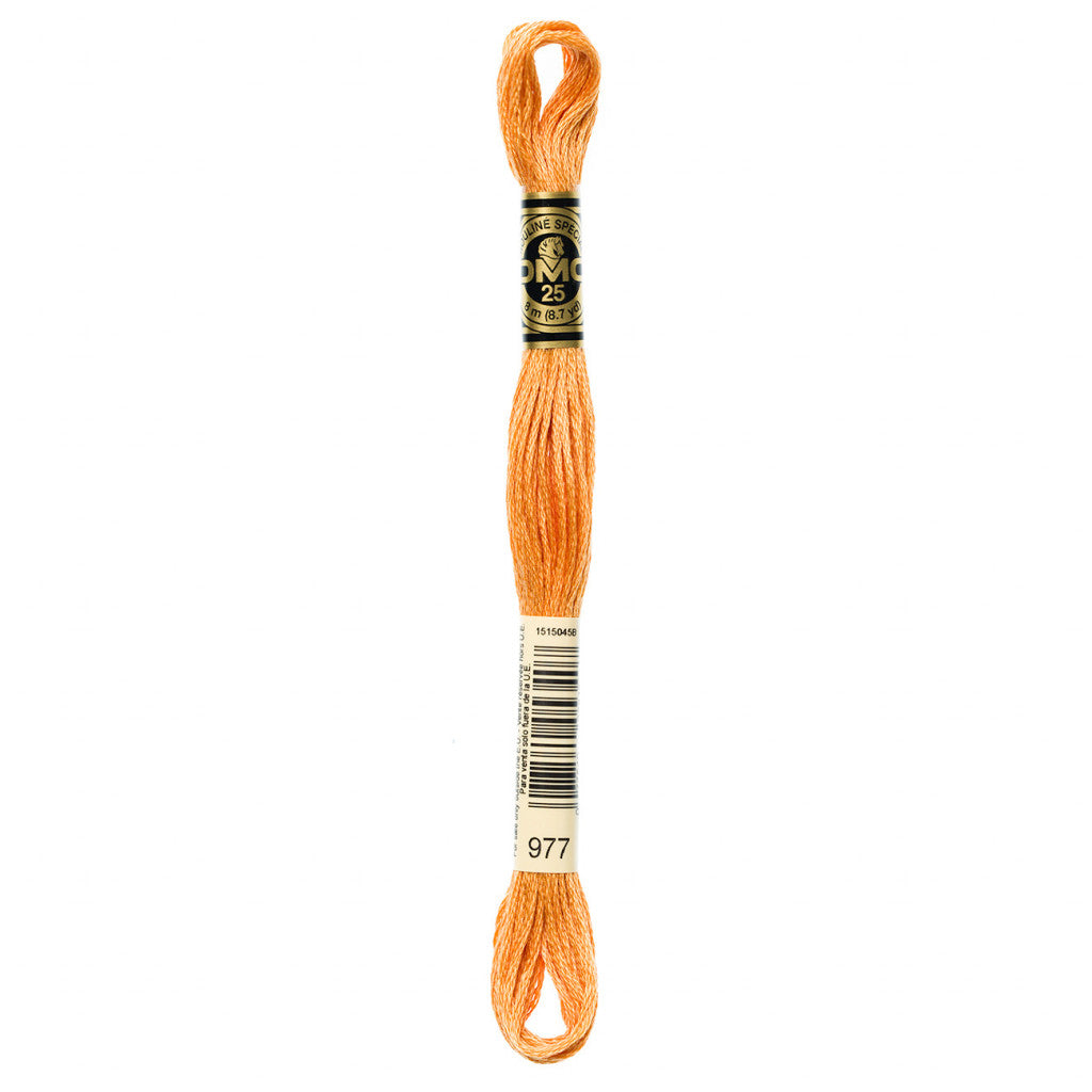 DMC 977 Embroidery Floss - Sewfinity.com
