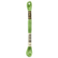DMC 989 Embroidery Floss - Sewfinity.com