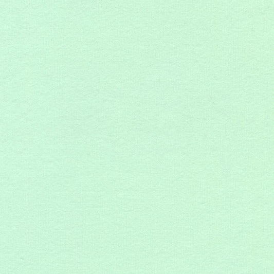 Flannel Solid - Fresh Dew - Sewfinity.com