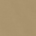 Big Sur Canvas - Beige