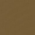 Big Sur Canvas - Brown Beige