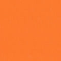 Big Sur Canvas - Carrot