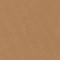 Big Sur Canvas - Chestnut