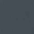 Big Sur Canvas - Dark Gray