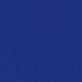 Big Sur Canvas - Deep Royal