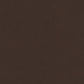 Big Sur Canvas - Espresso