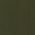 Big Sur Canvas - Forest