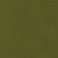 Big Sur Canvas - Moss Green