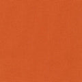 Big Sur Canvas - Orange