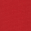 Big Sur Canvas - Red