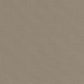 Big Sur Canvas - Smoky Beige