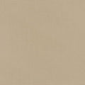 Big Sur Canvas - Taupe