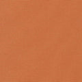Big Sur Canvas - Veggie Orange