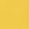 Big Sur Canvas - Yellow