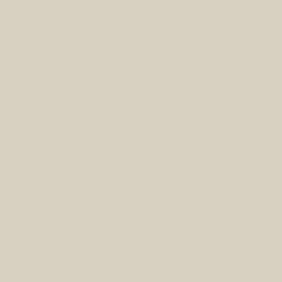 Century Solids - Champagne