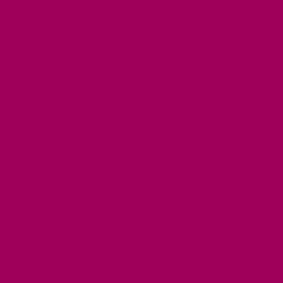 Century Solids - Raspberry