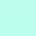Flannel Solid - Mint