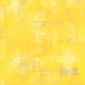 Grunge - Sunflower