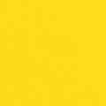 Kona Cotton - Citrus