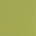 Kona Cotton - Olive